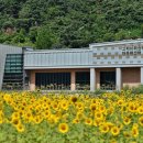 고지바위권역 장군마을 이미지