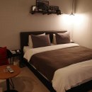 브라운도트1 이미지