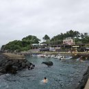 제주바당샵 | 제주도 | 제주 서귀포 스노쿨링 명소 섶섬 프리다이빙 호핑투어 펀다이빙 여름 7월 8월 제주바당 후기