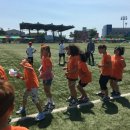 수도산체육공원 이미지