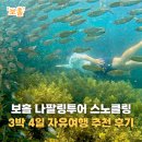 신비세탁 | 보홀 나팔링투어 정어리떼 스노쿨링 3박 4일 자유여행 추천 후기