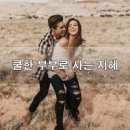 부부로2 Daum카페