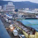 상생과 공존 이미지