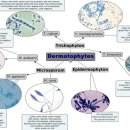 24시 청주이음동물의료센터 이미지