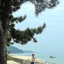 동해안자전거길 이미지