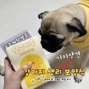 기미상견 펫푸드전문학원 | 강아지 생리 보양식으로 유명한 영양간식 후기