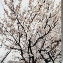 술술 풀리는 국어문법 이미지