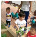 시립보듬이나눔이 어린이집 이미지