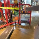 와우휘트니스 이미지