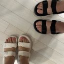 온더리프플라워 | 9주년 기념 CEBU ✈️🇵🇭