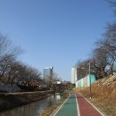 여의천2-9 Daum카페
