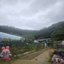 나들정원 | [남양주 체험농장 안데르센정원] 서울근교 밤줍기·동물먹이주기·썰매 체험한 15개월 아기의 하루