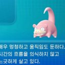 원곡주유소 | 오놀할사람