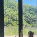 대청목욕탕 | 여름의 마지막 물놀이 (또 대청계곡)