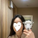 금오돈 이미지
