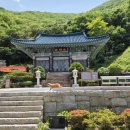 신흥사 구 대웅전 단청반자 | 신흥사 모두 기도중이네요.