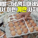 만숙