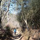 옥류천이야기길(입구) 이미지