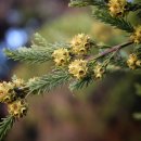 부산압구정한우갈비 이미지