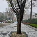 팔달어린이공원 이미지