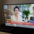 티베라55인치tv 팔아요 이미지