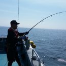 마린슈퍼 이미지