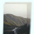팔레트포레 이미지