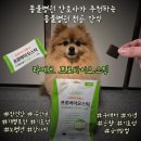 두리동물병원 | 강아지 유산균 추천｜라메르 포스트바이오스틱 동물병원 전용 실제 급여 후기