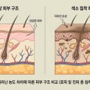 에스듈의원 이미지