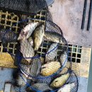 방아실낚시터 이미지