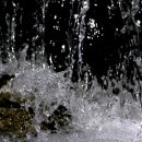 내일도 럭키 이미지