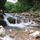 곰골산촌 이미지