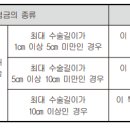 안면부상해흉터성형수술(1cm이상)보장 특별약관(안면부상해흉터성형수술의 정의) 이미지