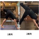 Enrich GYM | 부산 동래PT 인리치짐에서 애니멀플로우 2회차후기.