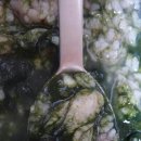고흥냉동