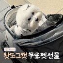 도그파파 동물병원 | 왓도그캣 무료펫선물 이벤트 당첨! 포로리 강아지 유모차 후기