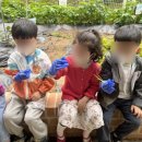 어울림유치원 이미지