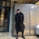 리코휘트니스