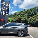 옥천가흑염소 이미지