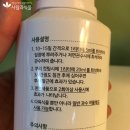 친환경 식물키움