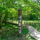 절물자연휴양림 이미지