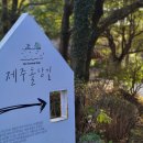 성읍민속마을 이미지