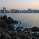 동백섬의 일출 이미지