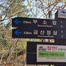 제 489회 정기 산행 경남 남해 금산(701m) 동백꽃 산행 (2026.3.21) 이미지