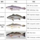 양반게장 이미지