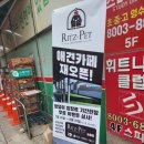 리츠펫동탄 | 동탄 리츠펫 후기
