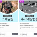 다사랑 동물병원 이미지