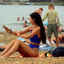 고려자동차 이미지