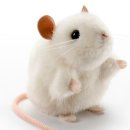 행정사 양승인 사무소 이미지