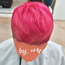 헤어 벨류 티스토리